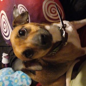 Meet your Posher, Lilliana